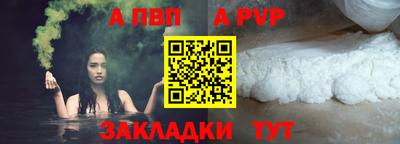 гашик Кингисепп