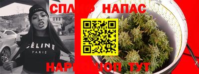 сатива Канаш