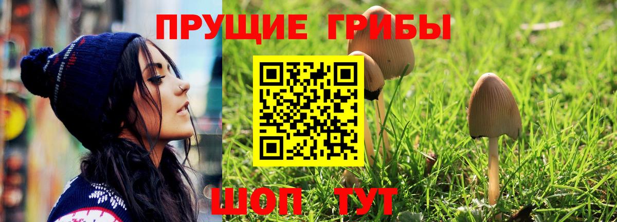 Галлюциногенные грибы Magic Shrooms  Вход с VPN  где найти   Псилоцибиновые грибы GOLDEN TEACHER  Лесозаводск 